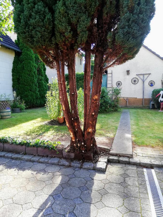 Ferienappartement Obrigheim Mosbach  Bagian luar foto