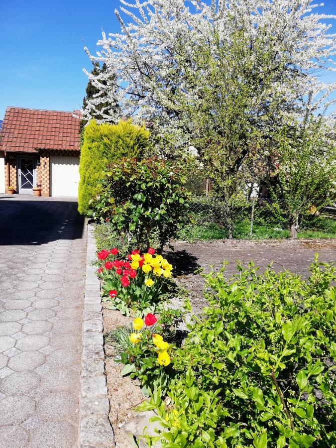 Ferienappartement Obrigheim Mosbach  Bagian luar foto