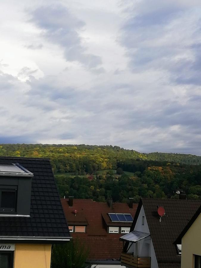 Ferienappartement Obrigheim Mosbach  Bagian luar foto