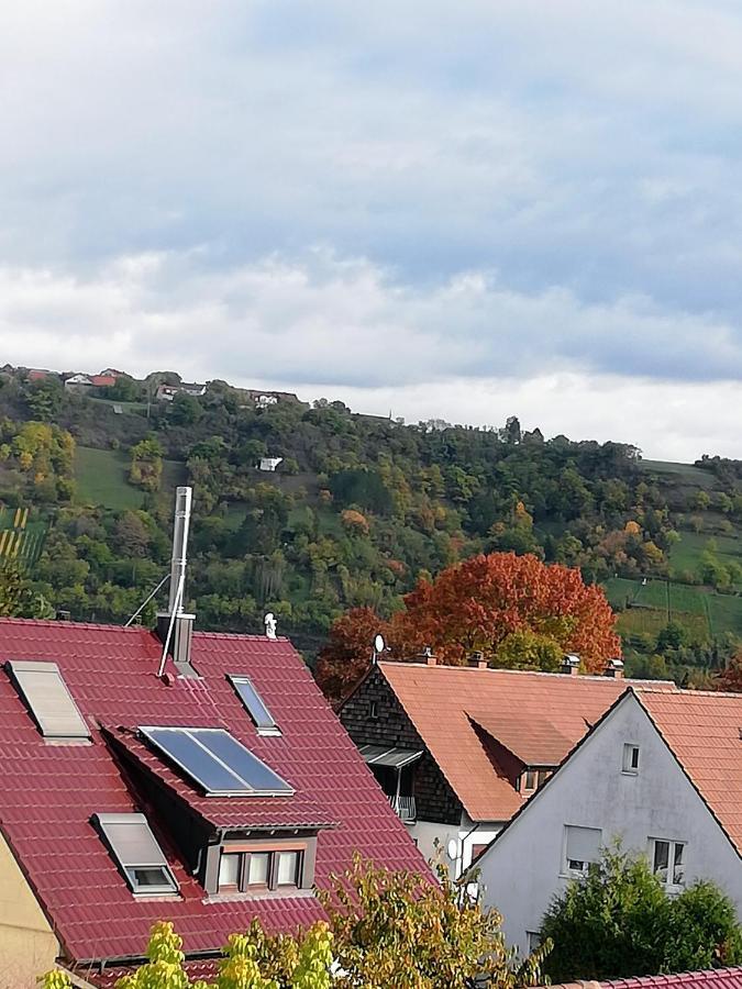 Ferienappartement Obrigheim Mosbach  Bagian luar foto