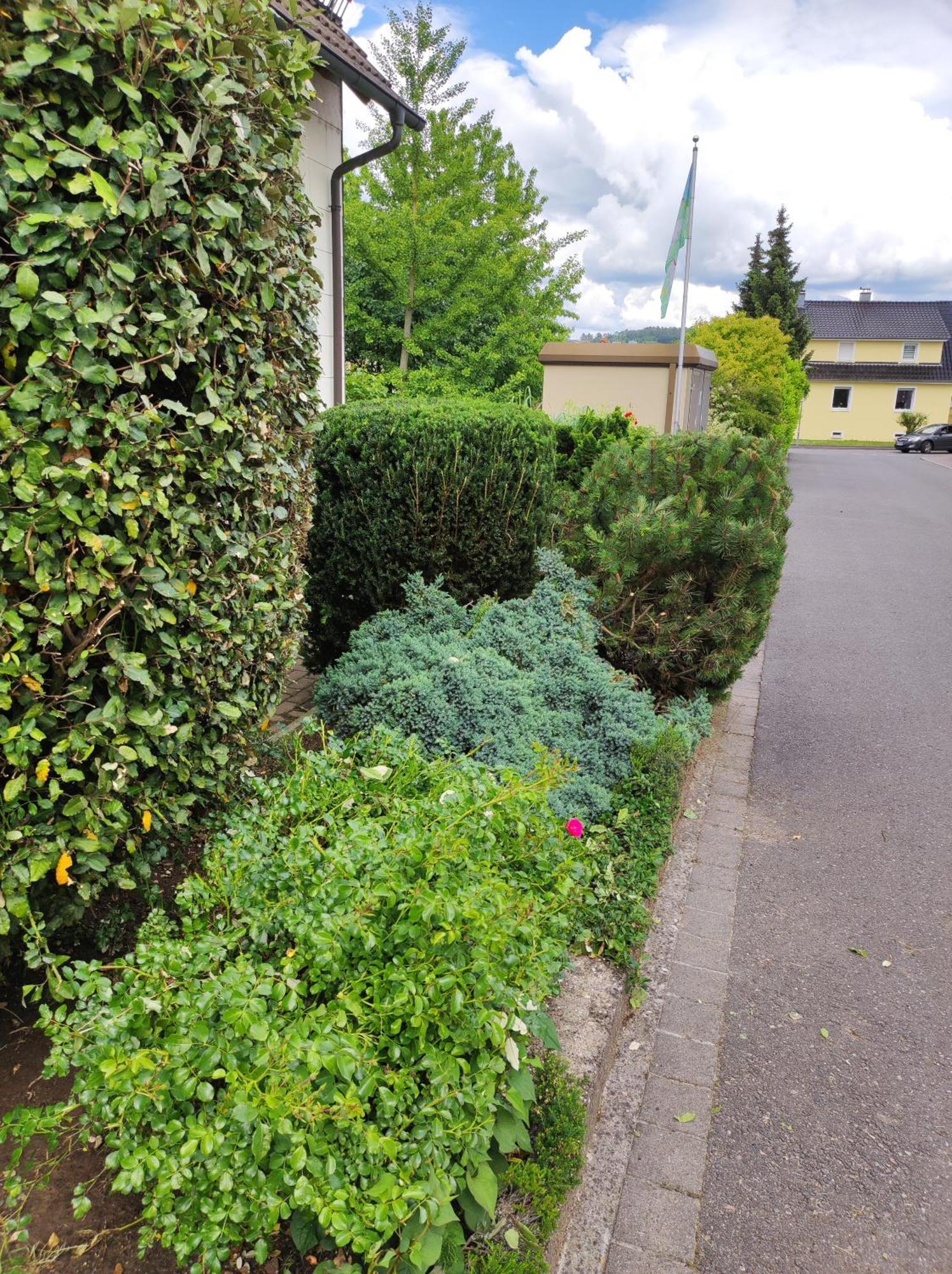 Ferienappartement Obrigheim Mosbach  Bagian luar foto
