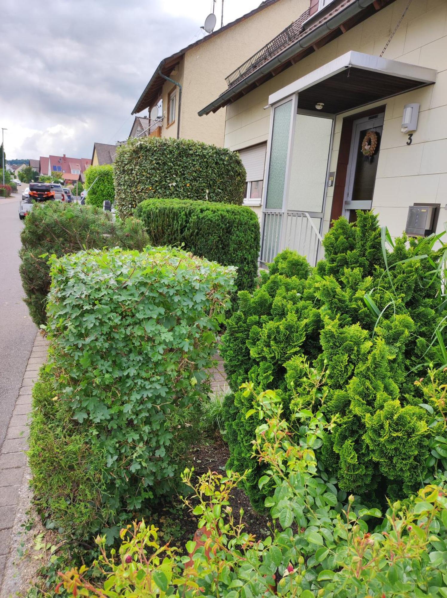 Ferienappartement Obrigheim Mosbach  Bagian luar foto